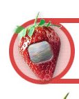 Strawberry-TV-(USA)