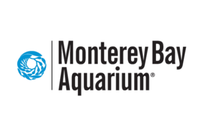 Open-Sea-Cam-Monterey-Aquarium-(USA)