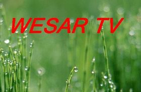 Wesar-TV-(Turkey)